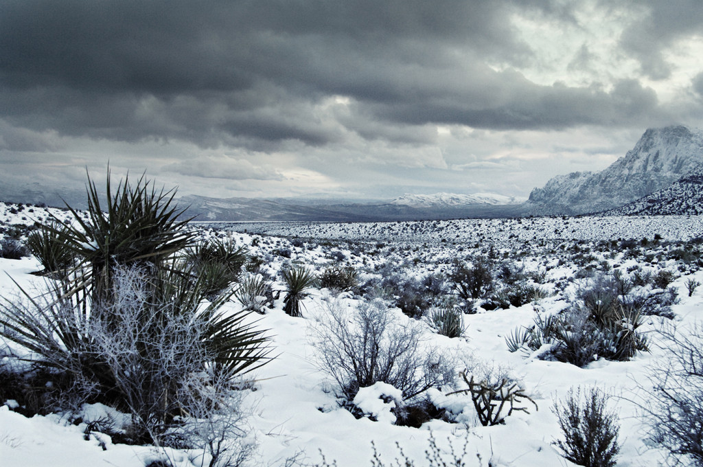 180360_RedRockLasVegasSnow_6