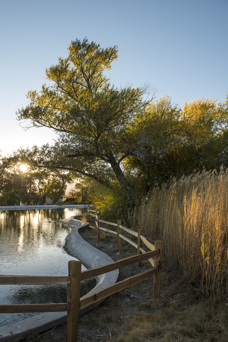 Scout Corn Creek, Nevada 180360