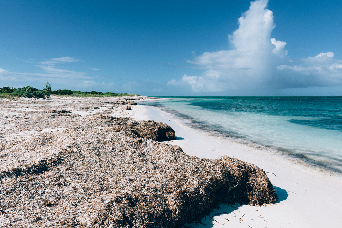 Turks and Caicos Travel Guide