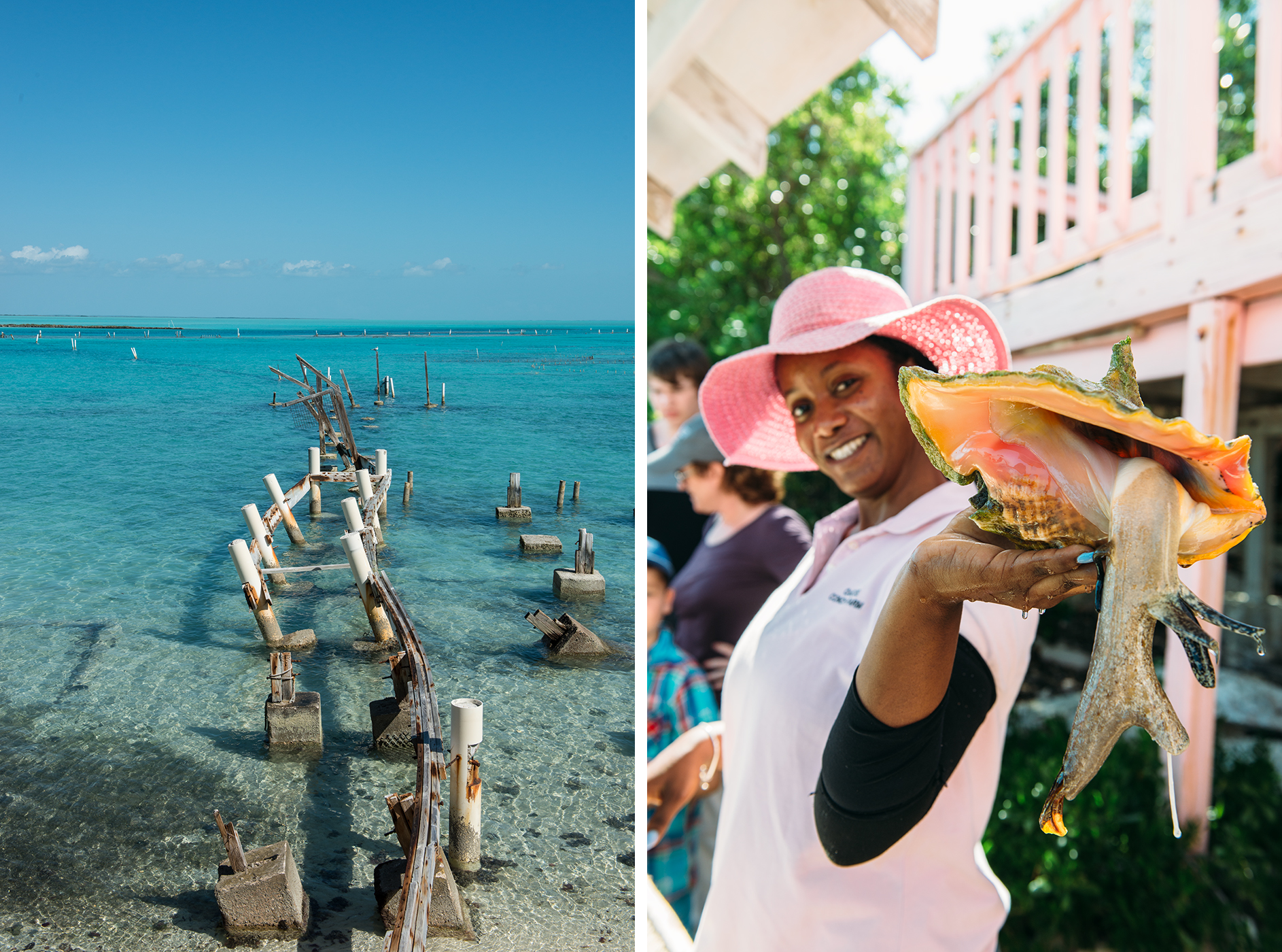 Turks and Caicos Conch Farm