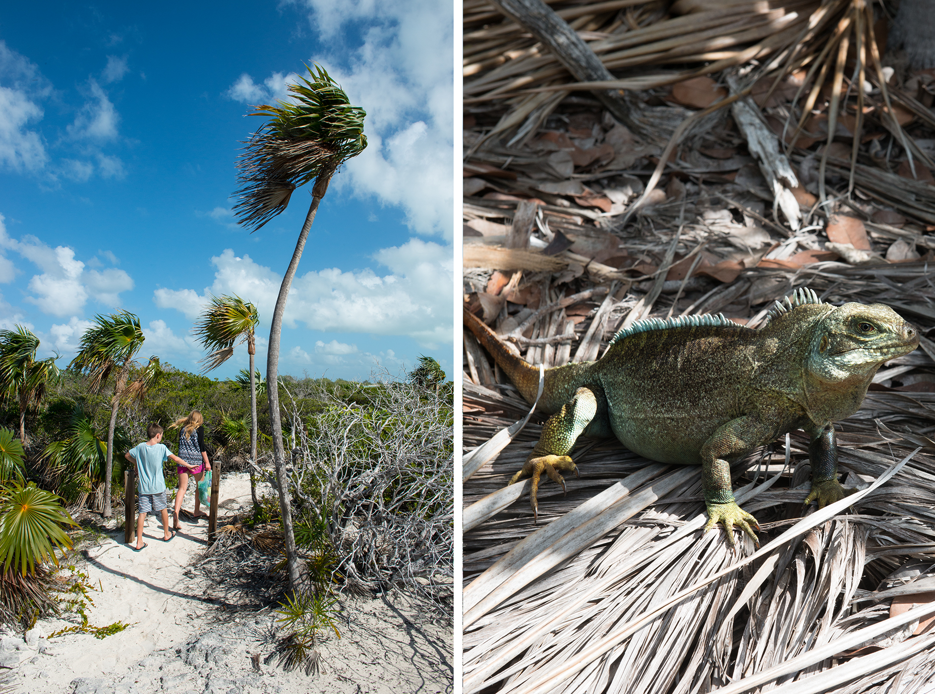 Turks and Caicos Travel Guide