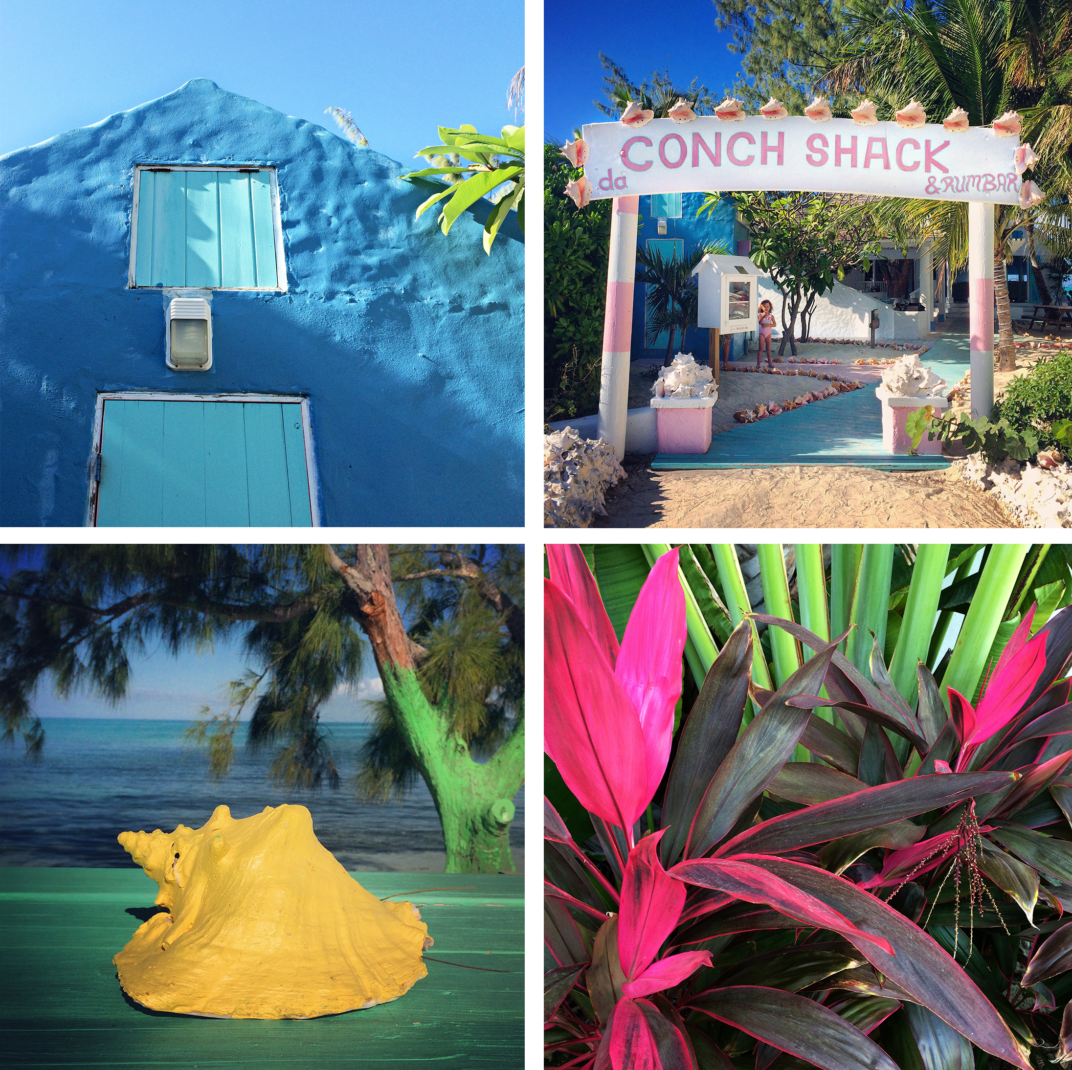Turks and Caicos Travel Guide