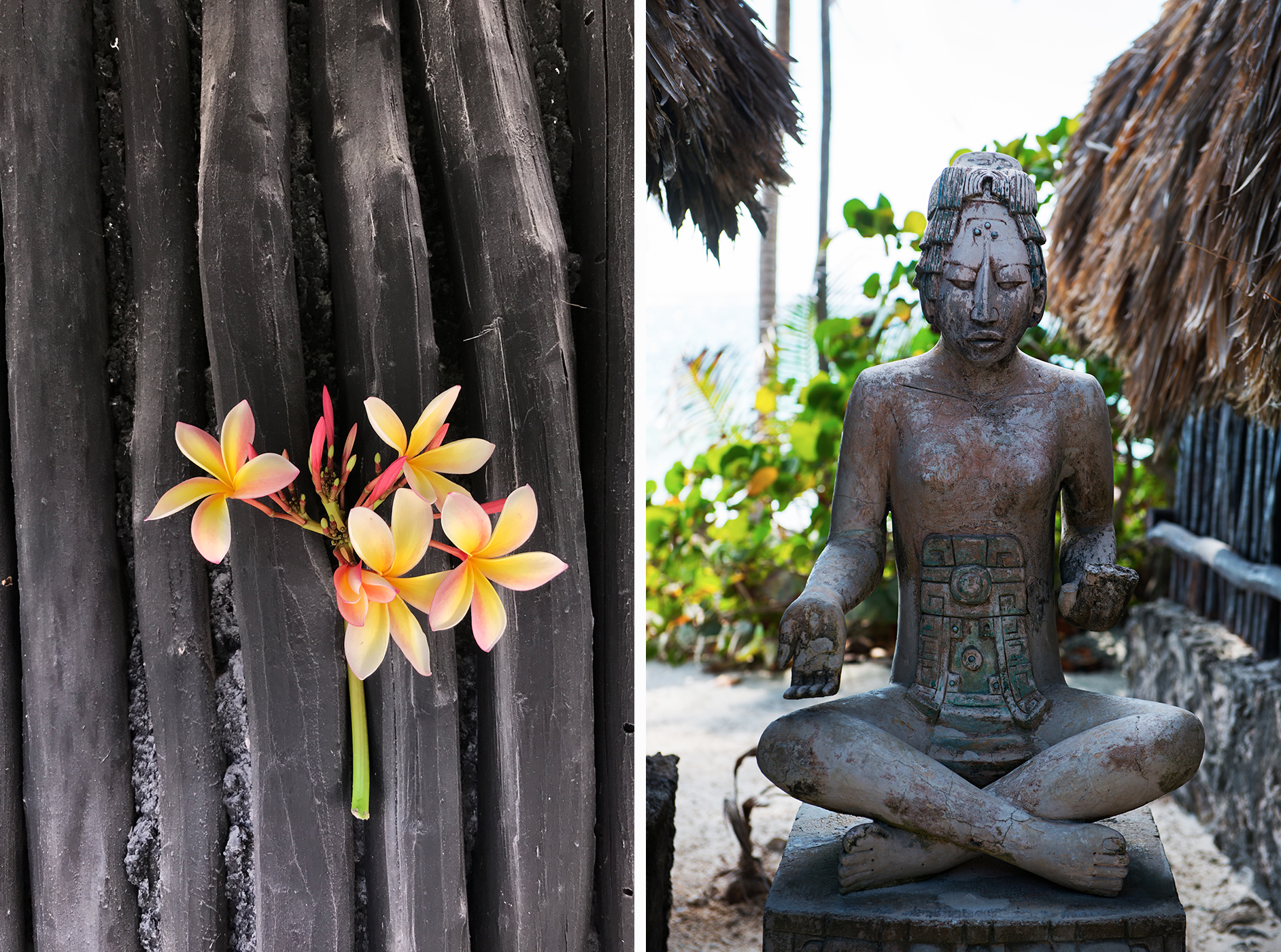 tulum flower and buddha